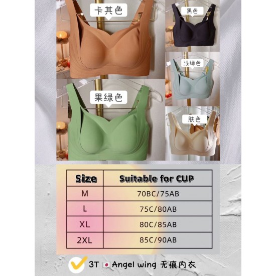 3T BRA PROMOTION (SATIN LACE & ANGEL WING)