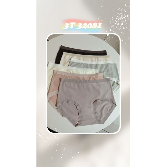 3T PANTIES (OCT PROMOTION) - PREORDER