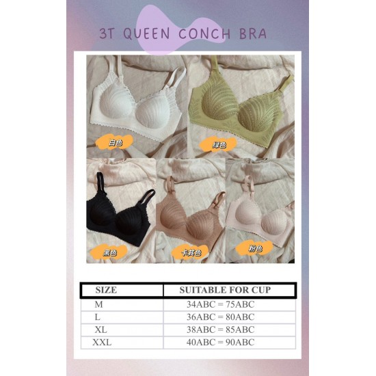 3T queen conch 无痕内衣 (PREORDER 7-14 DAYS)