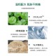 VT Cica Purifying Mask ( PRE ORDER 7-14 DAYS )